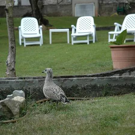 Apartment La Corte Di Magu *